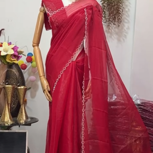 Simmer Sari with Blouse