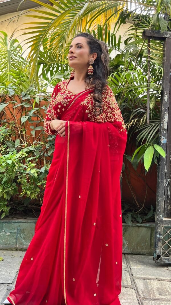 Bridal Handwork Sari - Premium Quality